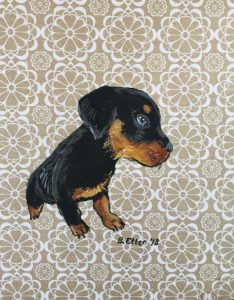 Rottweiler pup drawing