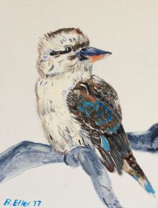 kookaburra portrait