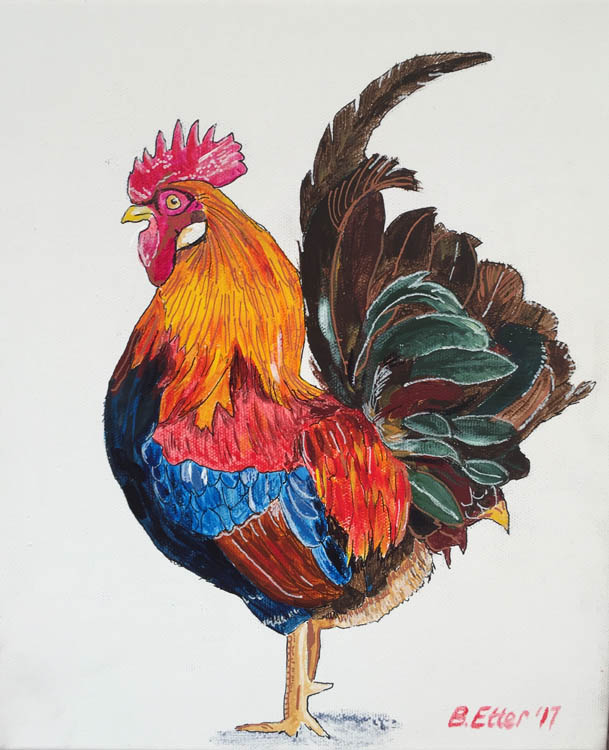 Colourful rooster
